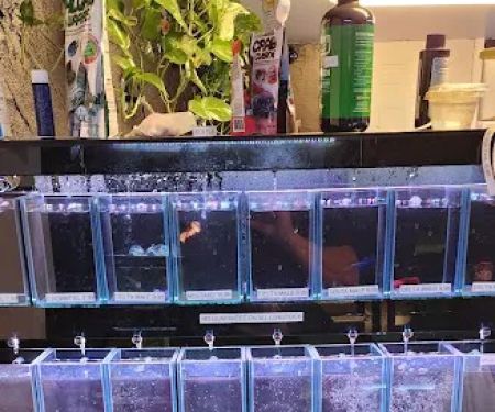Ocean Aquarium and Ponds