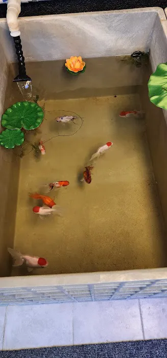 Ocean Aquarium and Ponds Picture 9