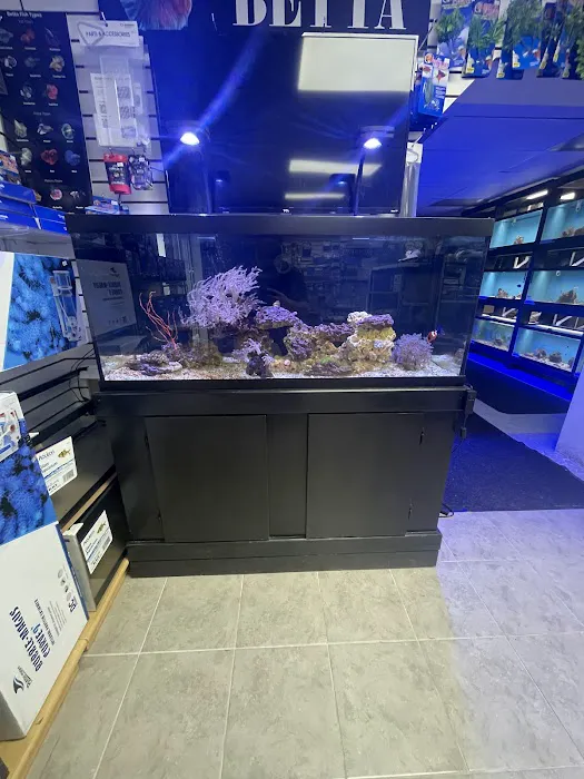 Ocean Aquarium and Ponds Picture 2