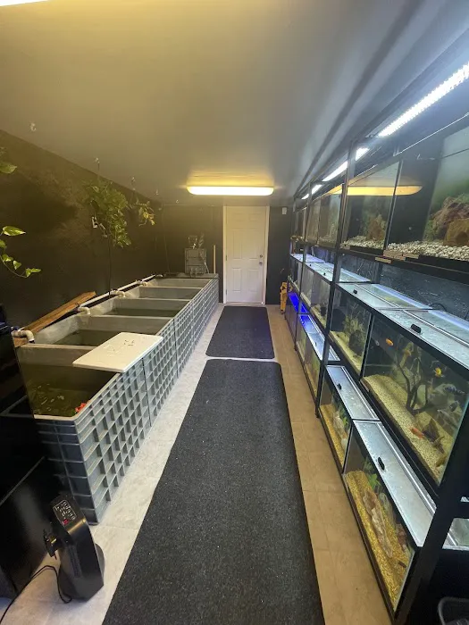 Ocean Aquarium and Ponds Picture 7