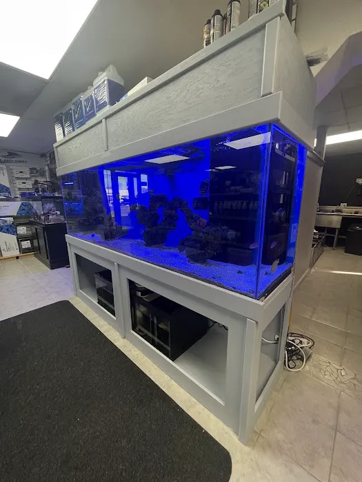 Ocean Aquarium and Ponds Picture 10