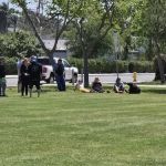 Helme Yorkie Puppies And French Bulldog Puppies For Sale.