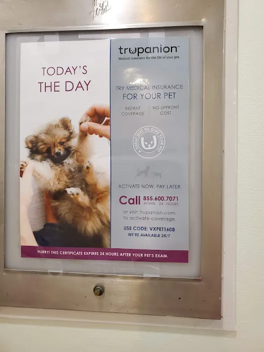 Rhawnhurst Animal Hospital Picture 7