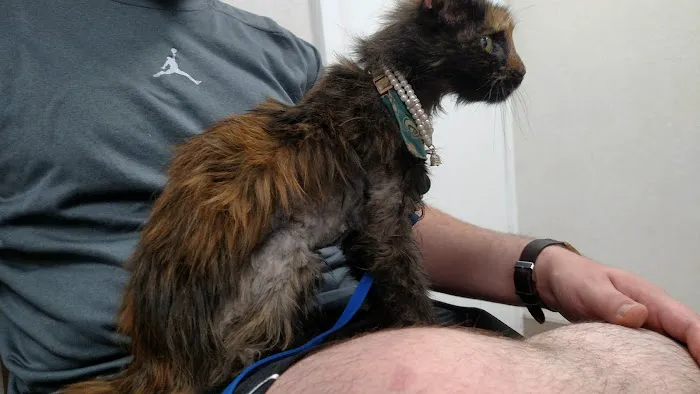 Boulevard Animal Hospital Picture 3