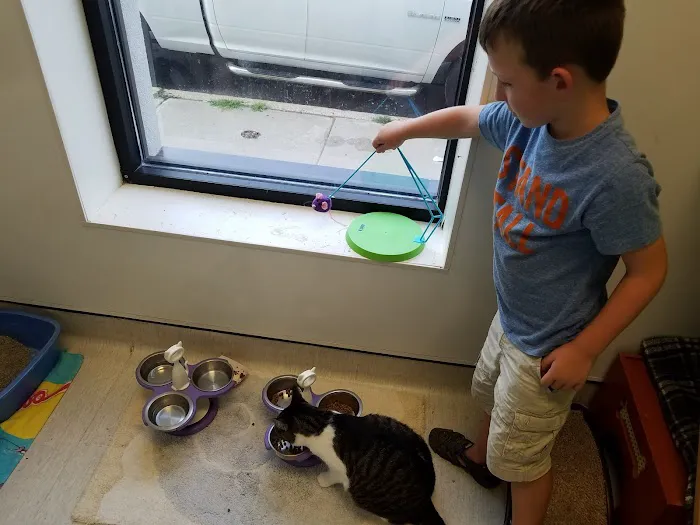 PAWS Northeast Spay/Neuter & Wellness Clinic Picture 2