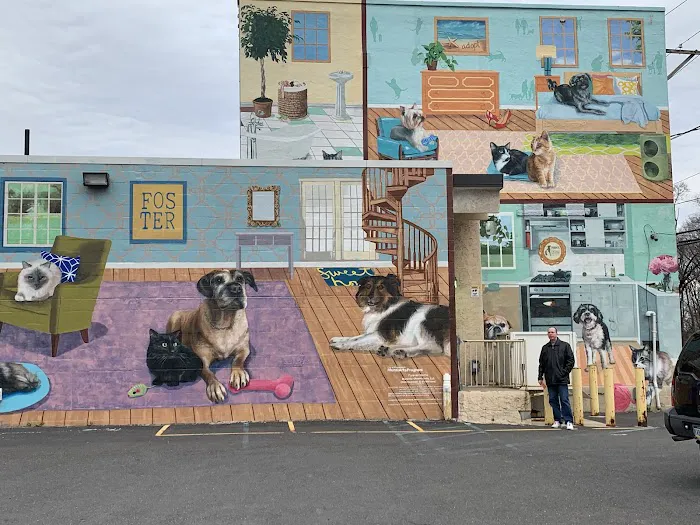 PAWS Northeast Spay/Neuter & Wellness Clinic Picture 7