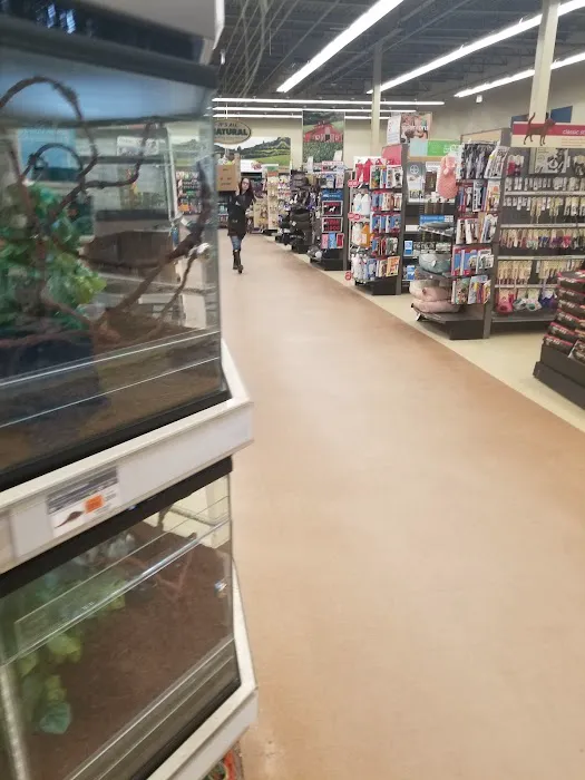 Petco Picture 3