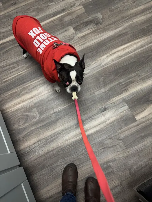 Pet Eye Care Center Picture 10