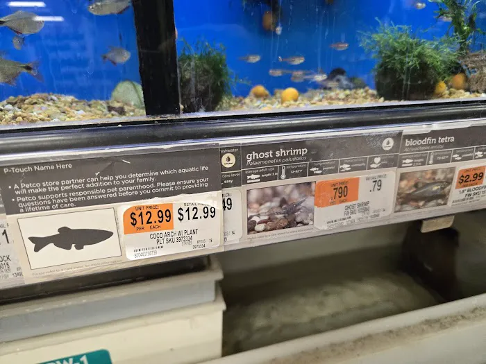 Petco Picture 3