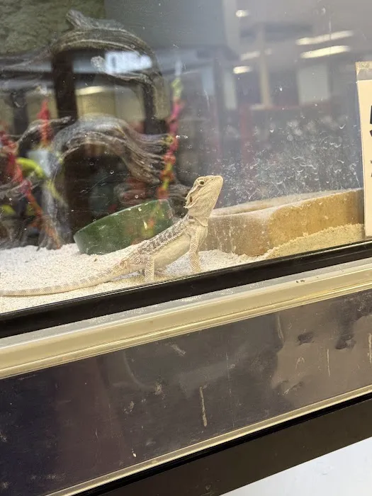 Petco Picture 2