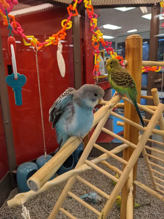 Petco Picture 5