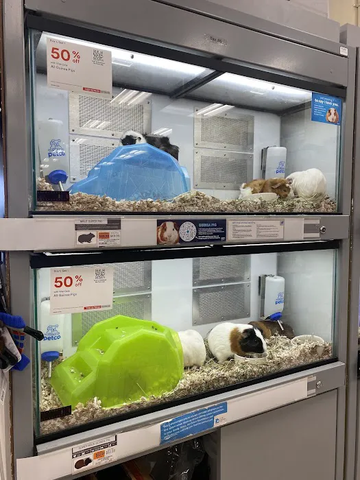 Petco Picture 8