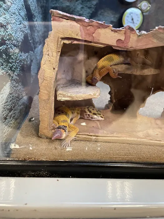 Petco Picture 6