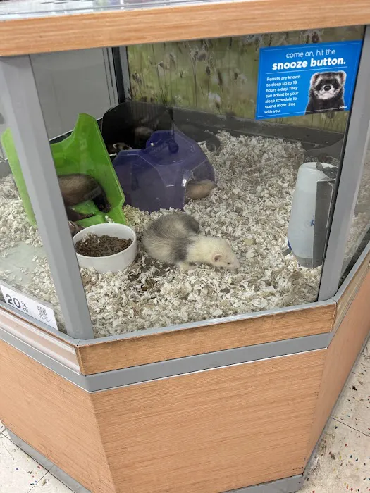 Petco Picture 9