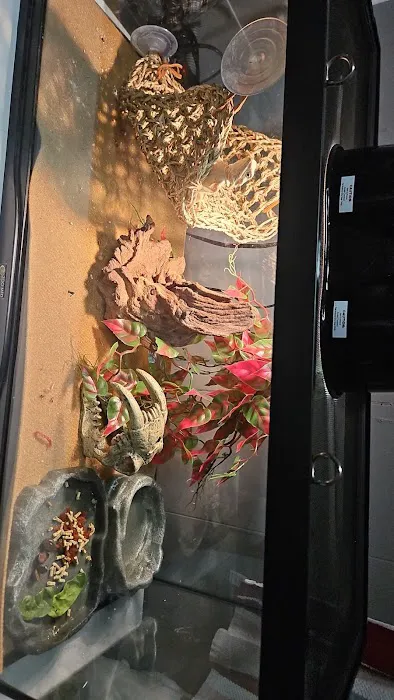 Petco Picture 10