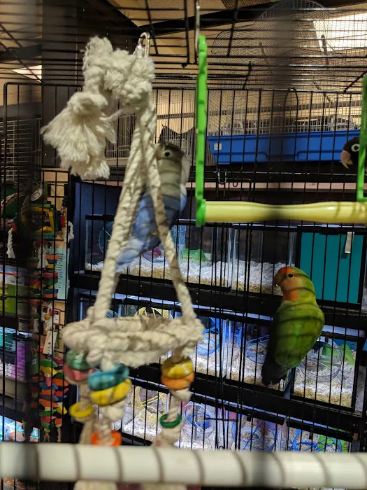The Pet Advantage Picture 2