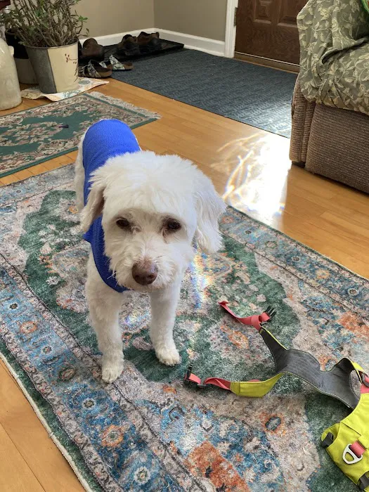 Pampered Pet Grooming & Supply Picture 2