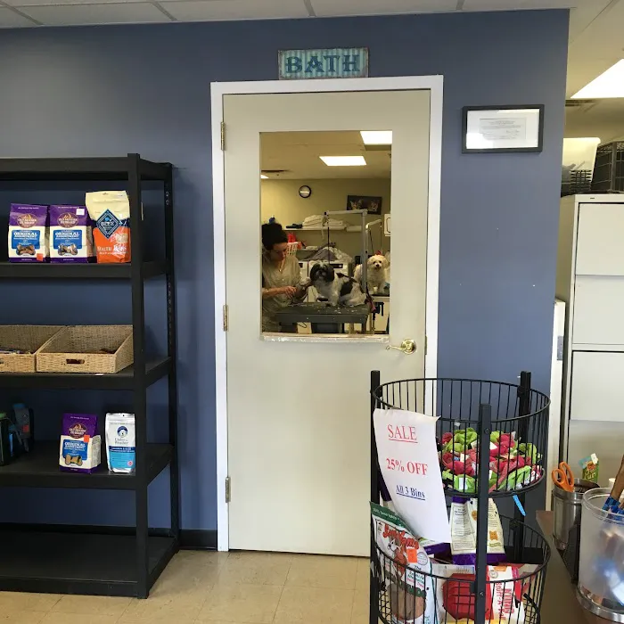 Pampered Pet Grooming & Supply Picture 6