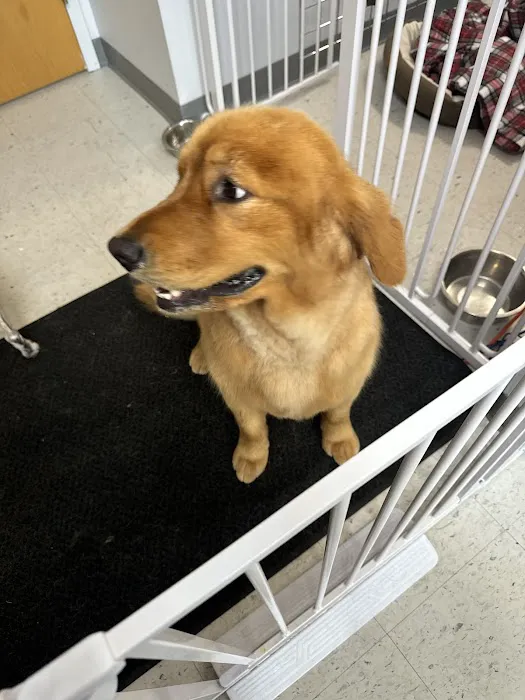 Pampered Pet Grooming & Supply Picture 9