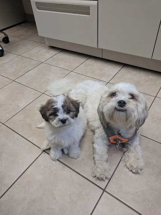 Burl-Moor-Driben Animal Hospital, LLC Picture 1