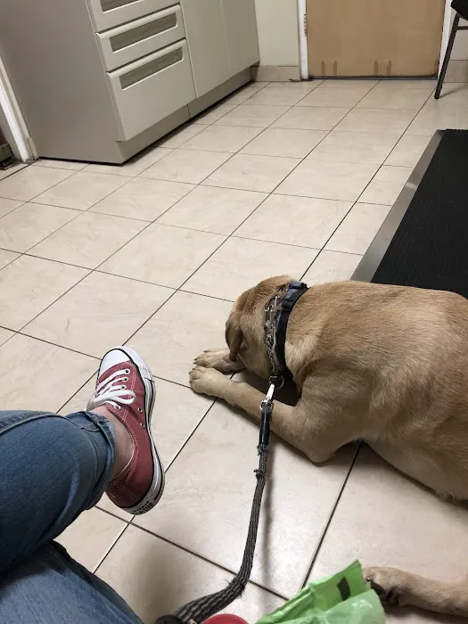 Burl-Moor-Driben Animal Hospital, LLC Picture 3