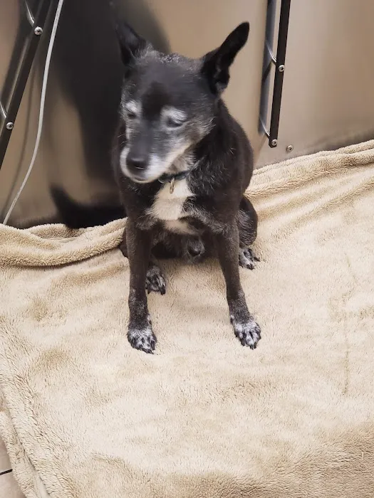 Burl-Moor-Driben Animal Hospital, LLC Picture 9