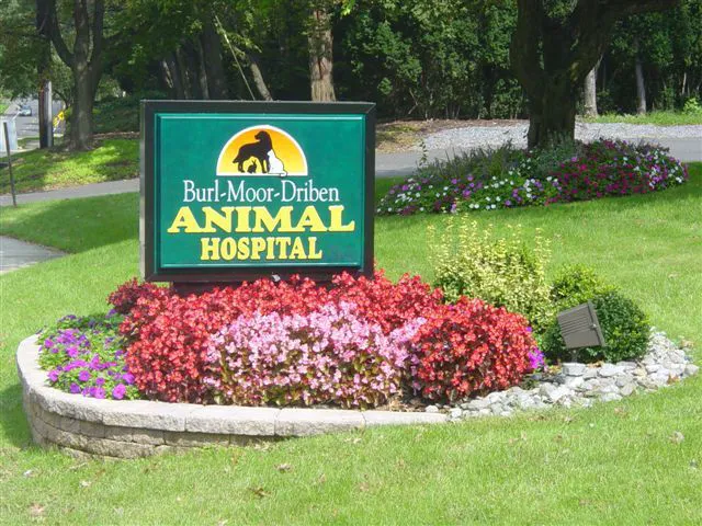 Burl-Moor-Driben Animal Hospital, LLC Picture 8