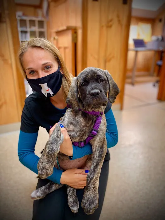 Tabernacle Animal Hospital Picture 6