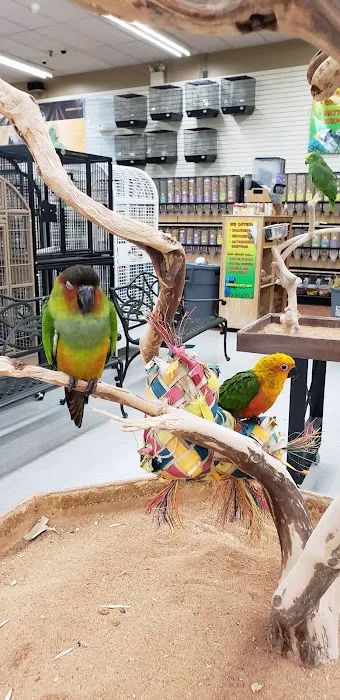 Animal & Bird Health Care Center & Hospital Picture 2