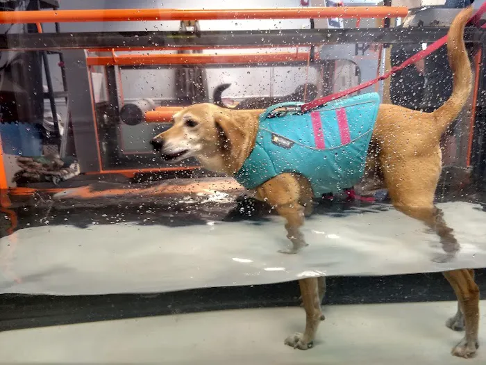 Haven Animal Health Services | Home of PetPT Picture 3