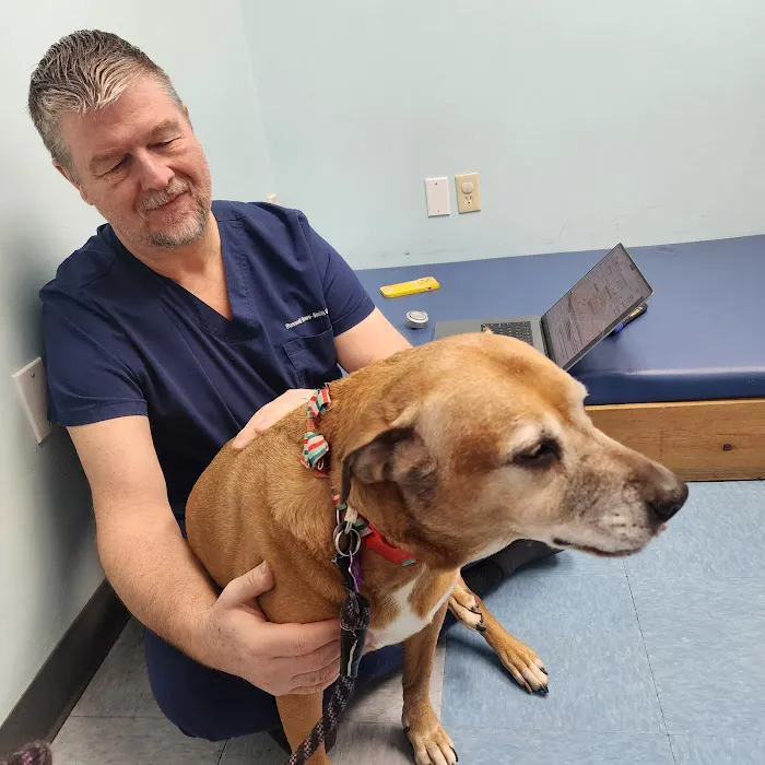 Haven Animal Health Services | Home of PetPT Picture 7