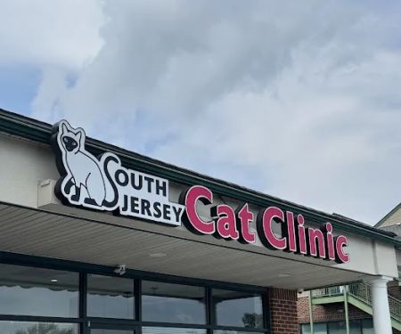 South Jersey Cat Clinic