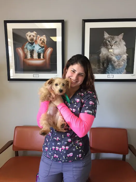 York Road Veterinary Hospital Inc. Picture 3