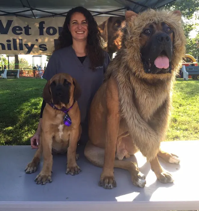 York Road Veterinary Hospital Inc. Picture 4