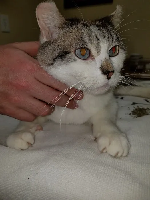 Bethayres Veterinary Hospital Picture 2