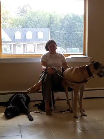 Animal Clinic of Warrington Picture 3