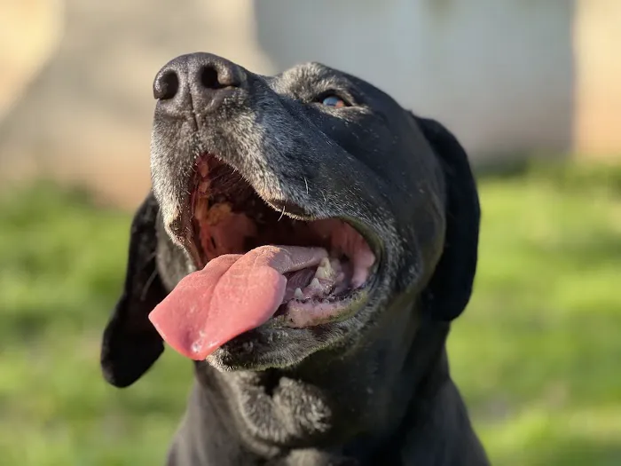 Vetco Total Care Animal Hospital Picture 2