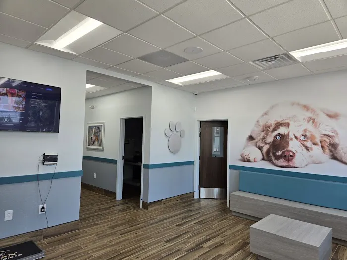 County Line Veterinary Hospital Picture 7