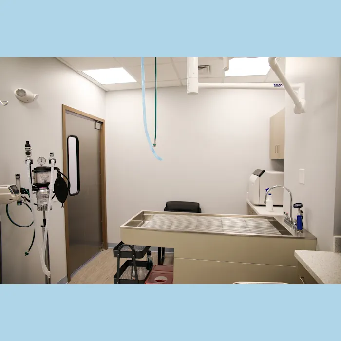 Family Pet Clinic Horsham Picture 8
