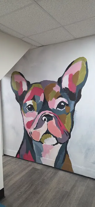 Petdoc Urgent Care Picture 9