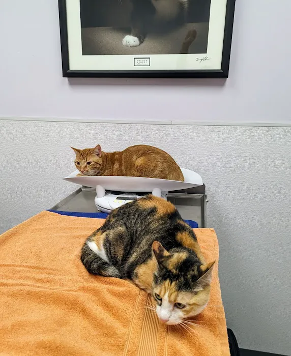 Creekview Veterinary Hospital Picture 8