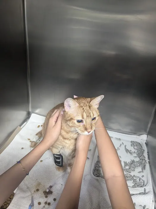 Quakertown Veterinary Clinic Picture 4