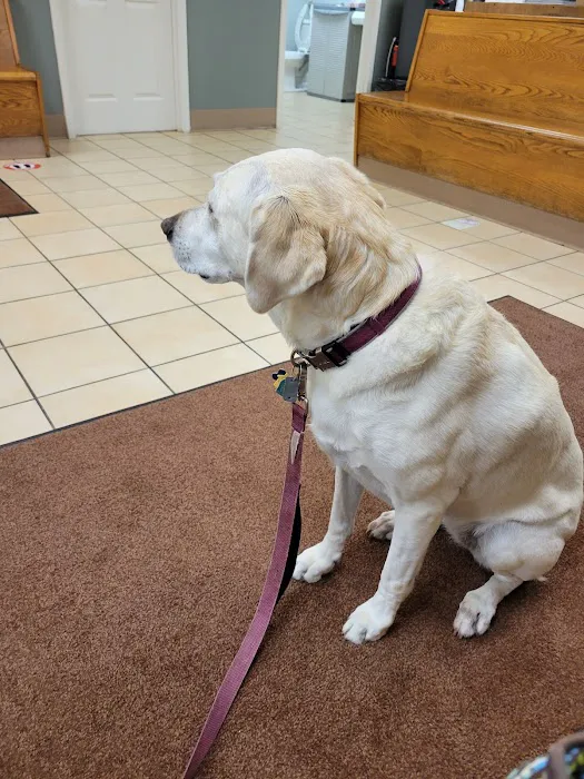 Quakertown Veterinary Clinic Picture 10