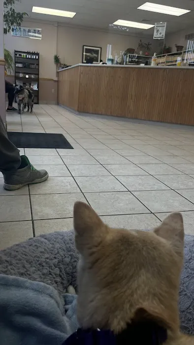 North Saucon Animal Hospital Picture 2
