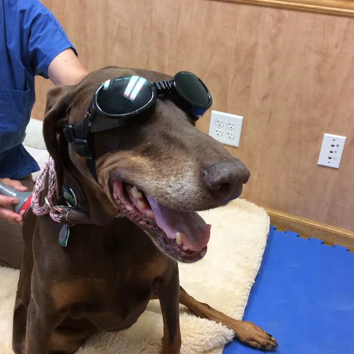 Mill Pond Veterinary Clinic & Kennel Picture 8