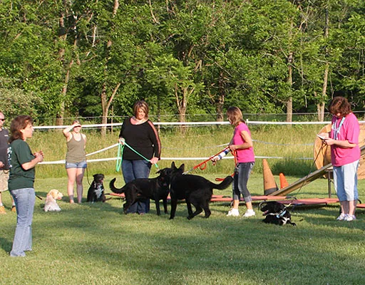 Mill Pond Veterinary Clinic & Kennel Picture 9
