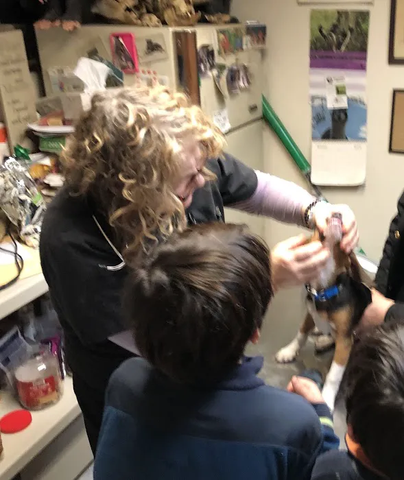 Milford Veterinary Clinic Picture 10