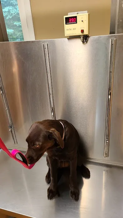 Upper Saucon Animal Hospital Picture 1
