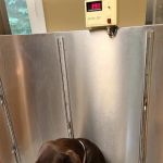 Upper Saucon Animal Hospital