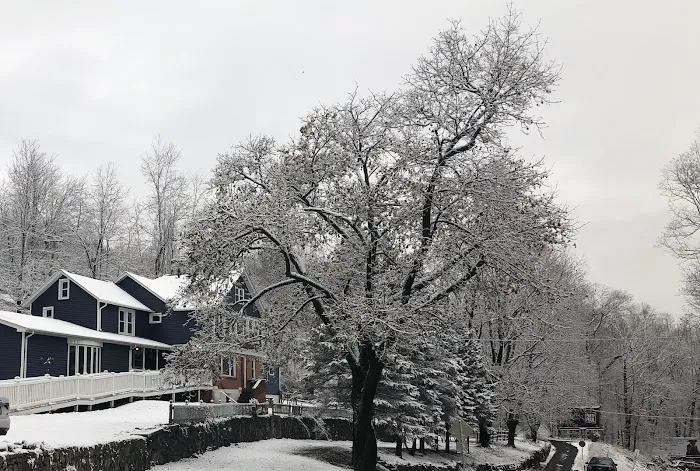 Upper Saucon Animal Hospital Picture 7